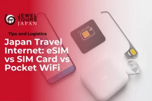 Japan travel internet options comparison showing eSIM, SIM card, and Pocket WiFi device for travelers visiting Japan