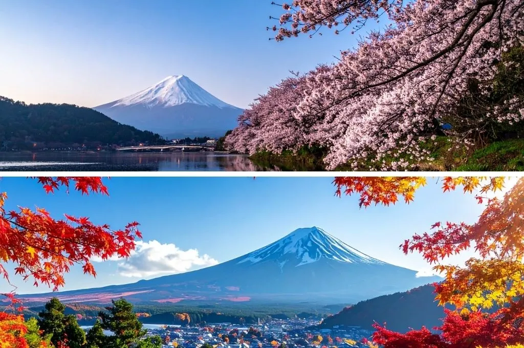 Best time to visit Japan with a toddler