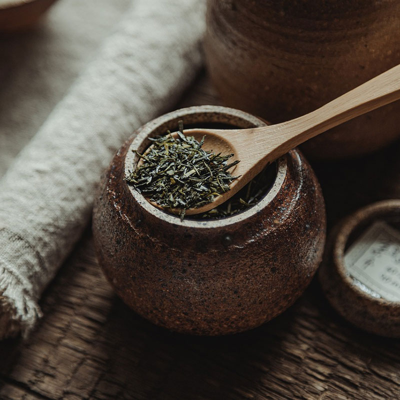 Omaezaki port tea growing tour