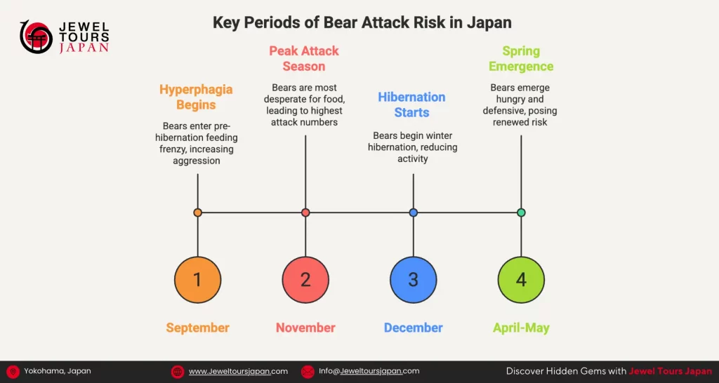 Periods of bear attacks in japan stats