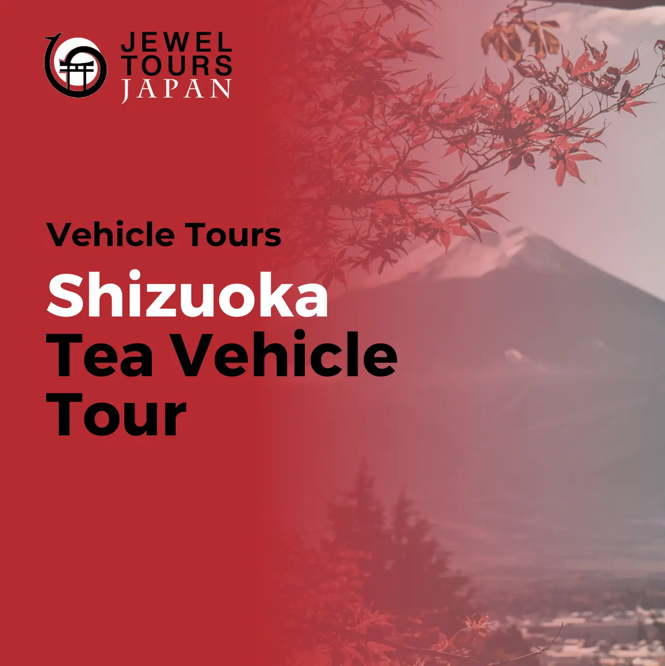 Shizuoka Tea Vehicle Tour