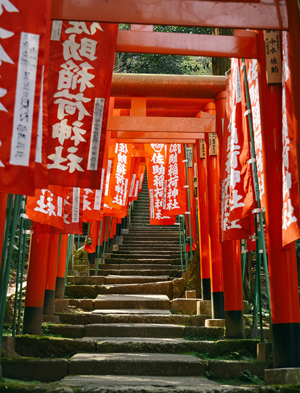 Stairs in Tori Gates Shrine kamakura