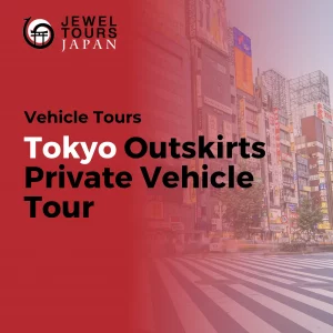 Vehicle Tour in Tokyo