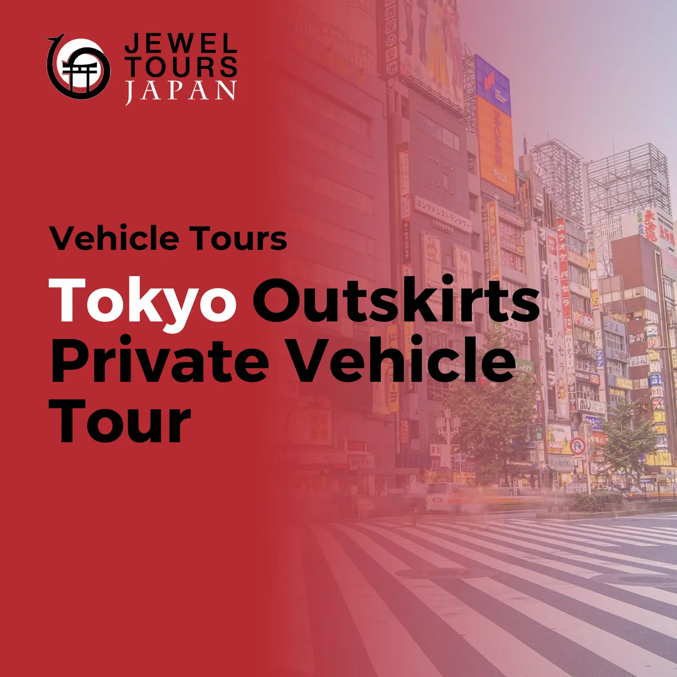 Vehicle Tour in Tokyo