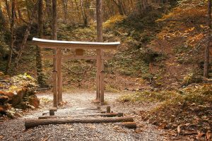 autumn october in japan travel