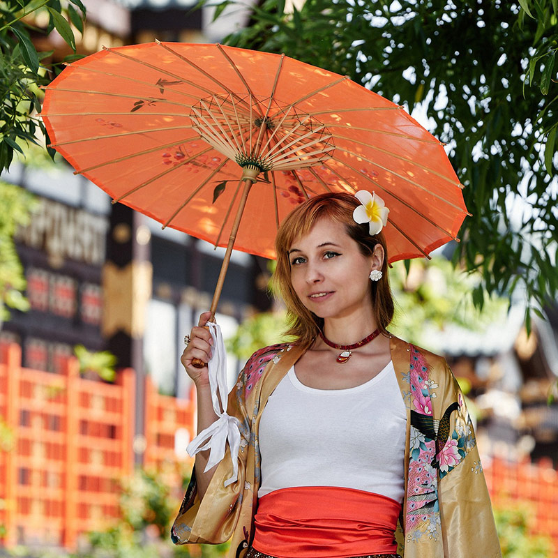 best guided tours in japan from usa