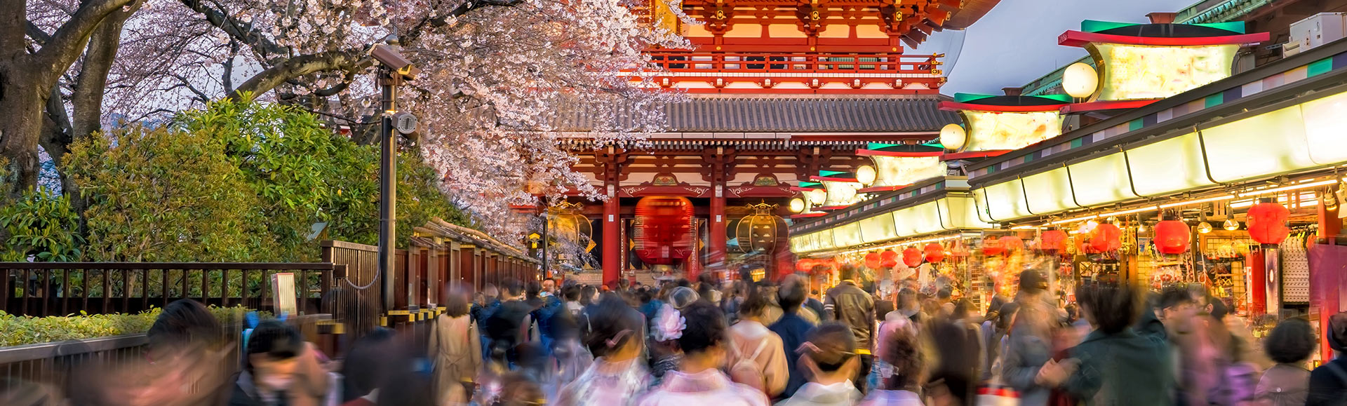 best guided tours japan 2025 best guided tours japan 2025
