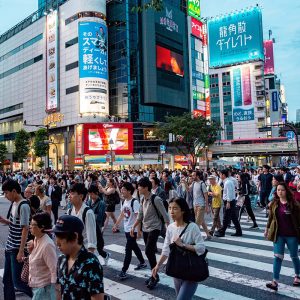 english tour package holiday