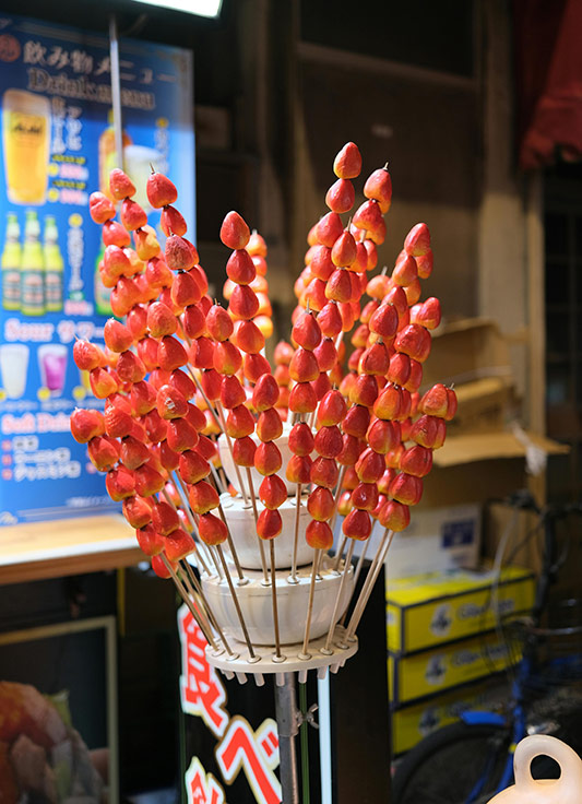 food tour guides yokohama