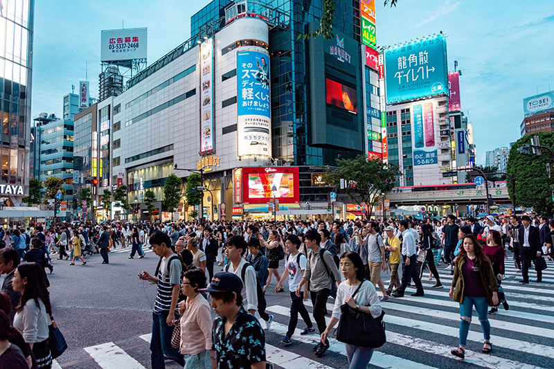 guided tour Shibuya crossing tokyo
