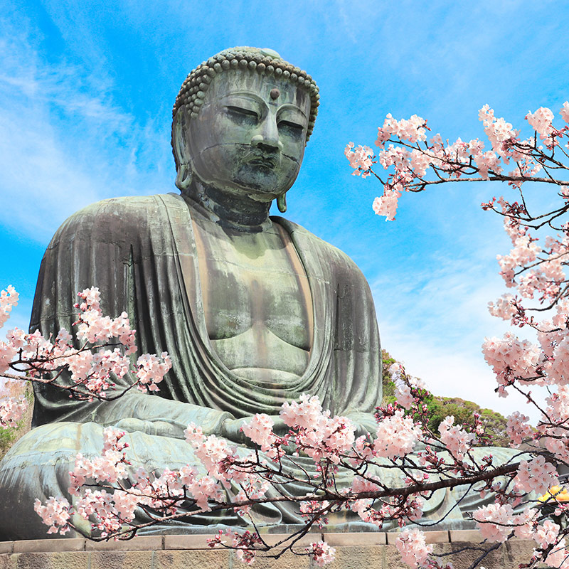 guided tour package holidays