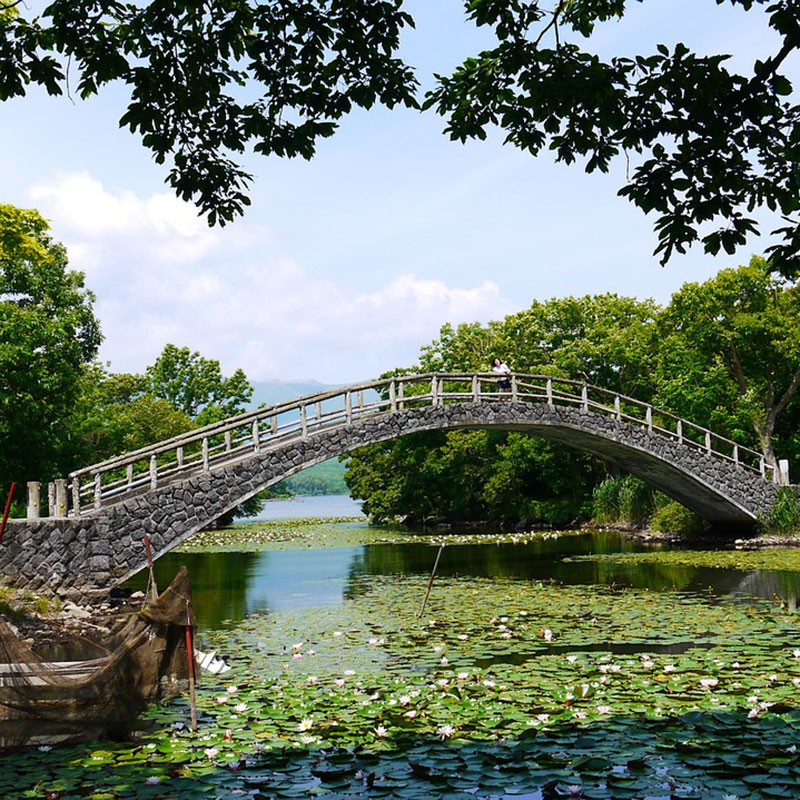 hakodate port shore excursion