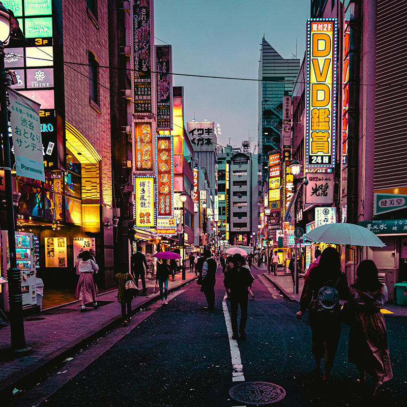 half day guided tour tokyo 2025