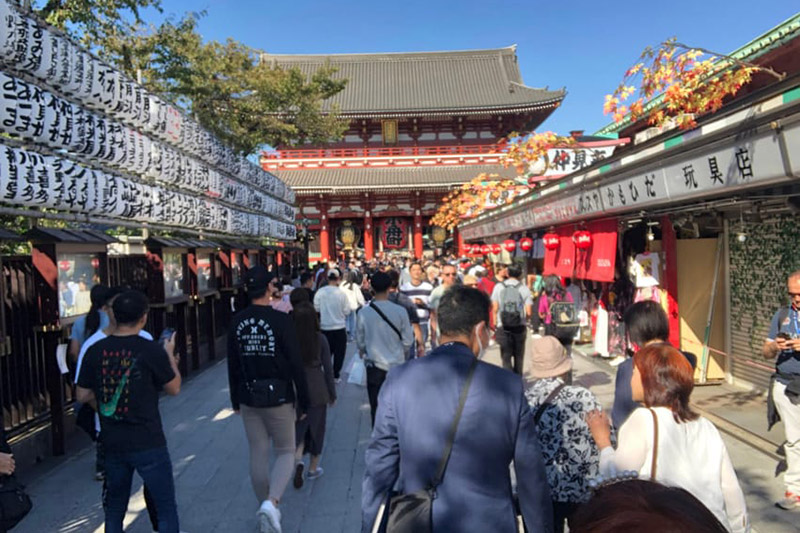 is hiring jpan tour guide worth it