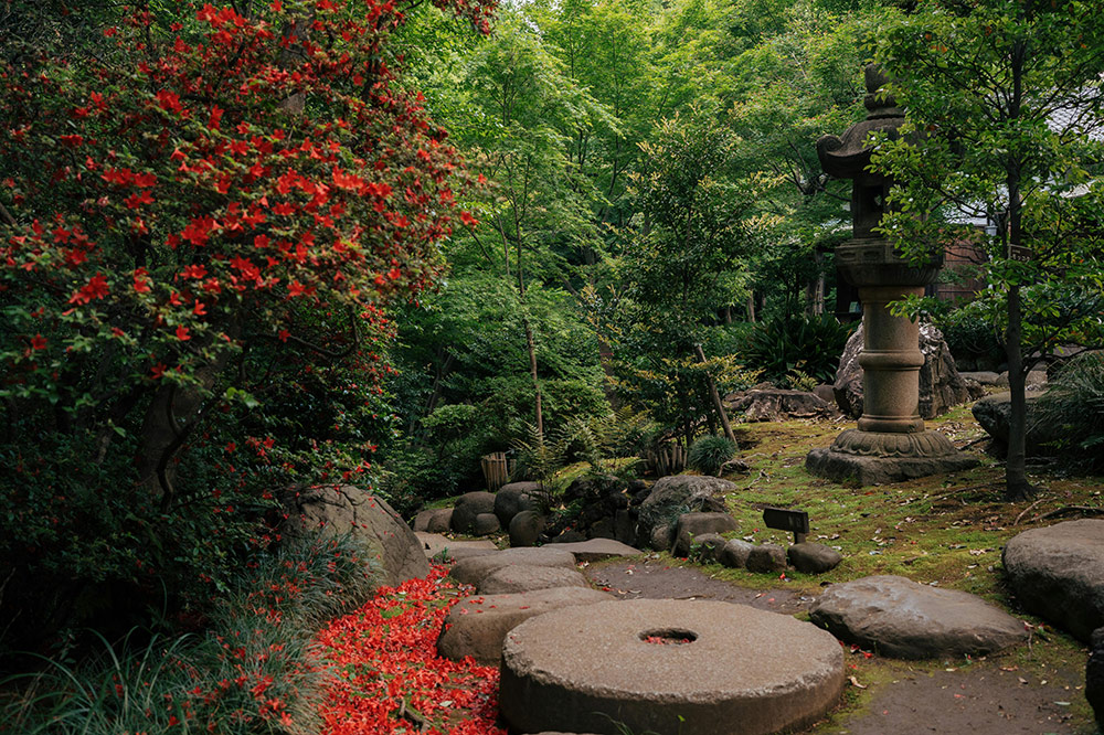 japan garden autumn fall tours