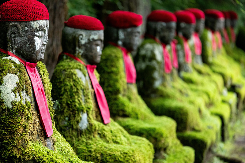 japan tour guides february