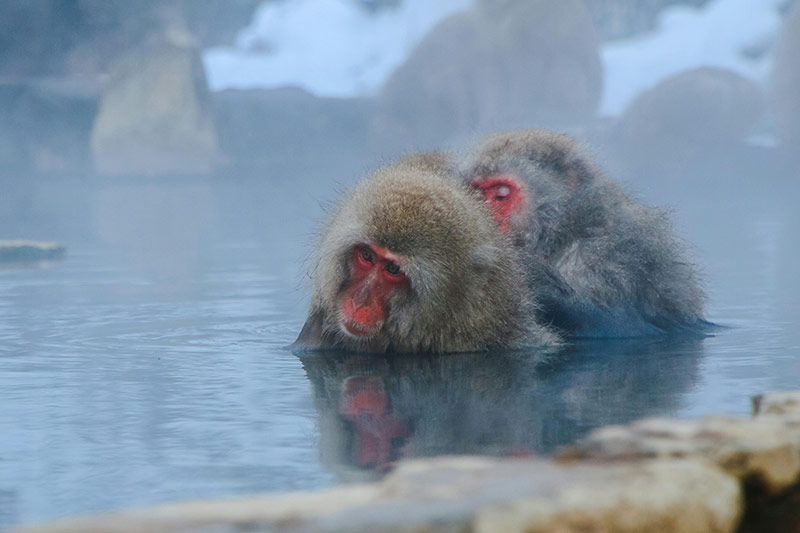 japanese onsen hot springs