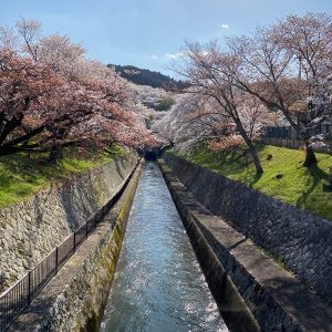kamakura best tour guides