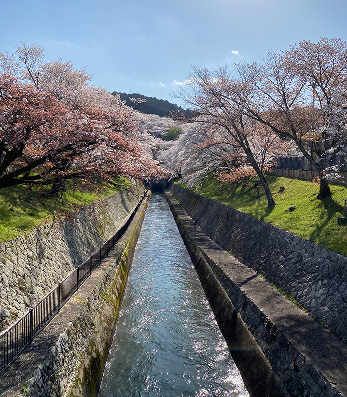 kamakura best tour guides