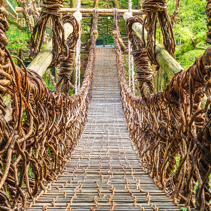 kochi port shore tours guided