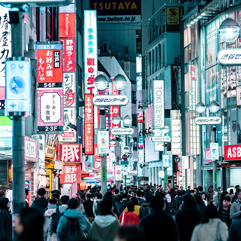 tokyo international port tour