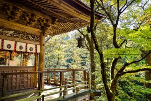 why autum fall in japan