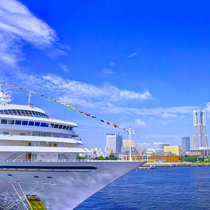 yokohama shore excursion guided tour